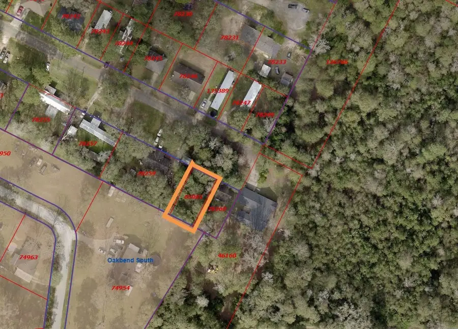 LOT 111 Redbud Street, Shepherd, TX 77371 - Image #2