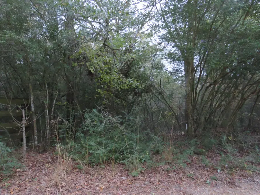 0 Fm 2095, Milano, TX 76556 - #2