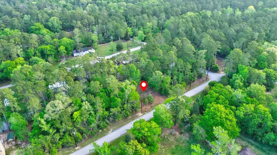 1412 W Lake Drive, Huffman, TX 77336 - #2