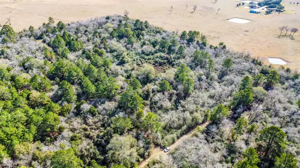 17625 Falcon Lane, Hempstead, TX 77445