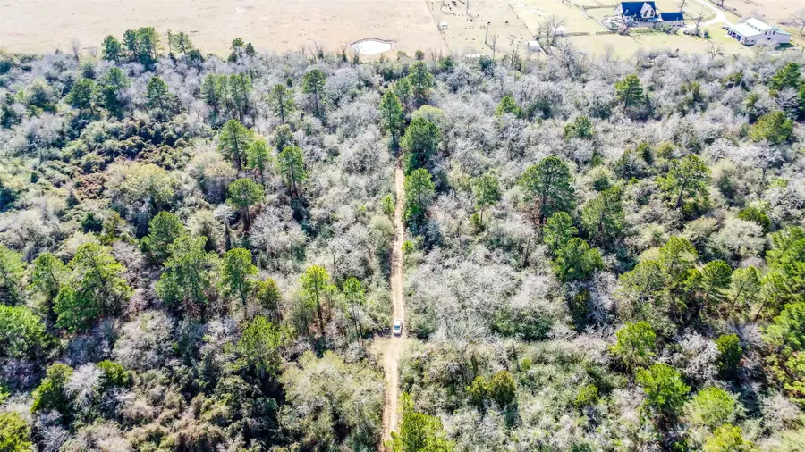 17625 Falcon Lane, Hempstead, TX 77445 - Image #2