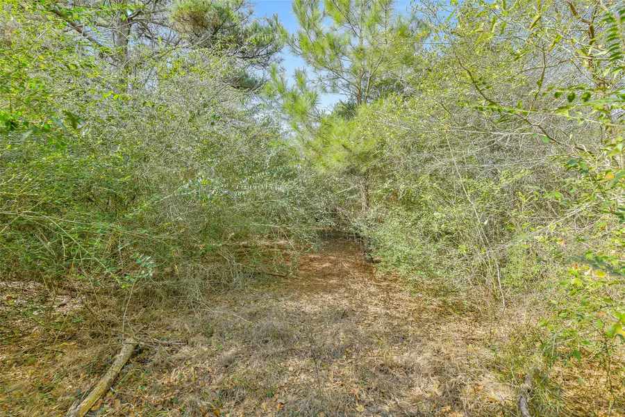 17625 Falcon Lane, Hempstead, TX 77445 - Image #3