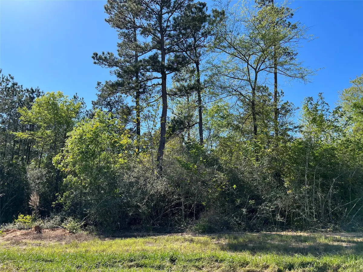 335 Exploration Road, New Waverly, TX 77358 - Image #1