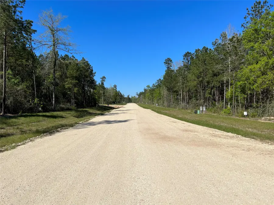 335 Exploration Road, New Waverly, TX 77358 - Image #2