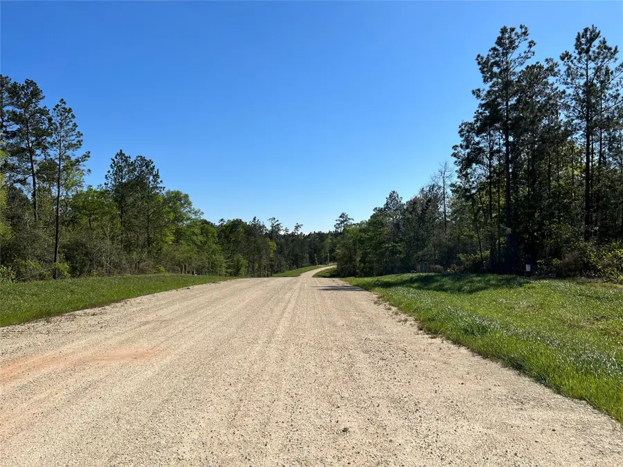 335 Exploration Road, New Waverly, TX 77358 - Image #3
