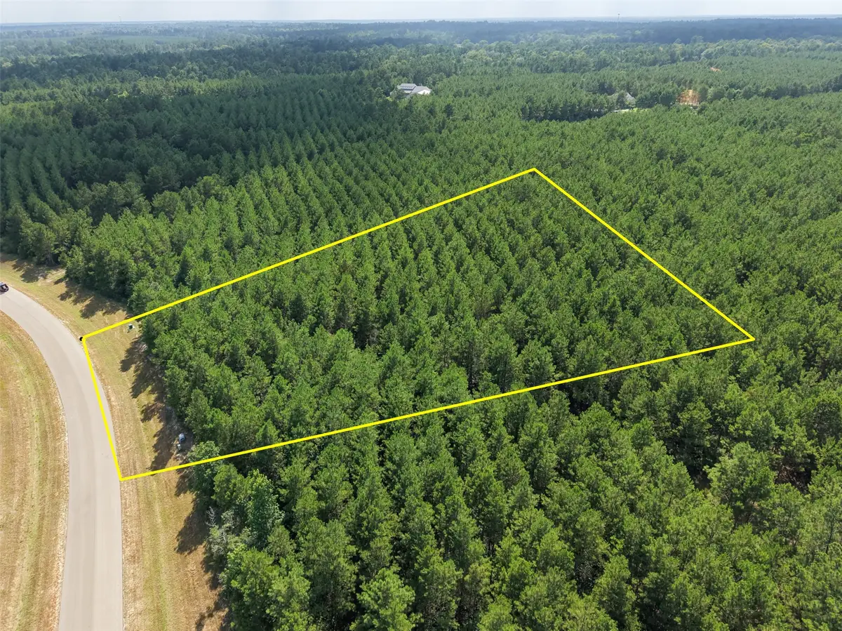 15785 Woodlife Road, Willis, TX 77378 - #1