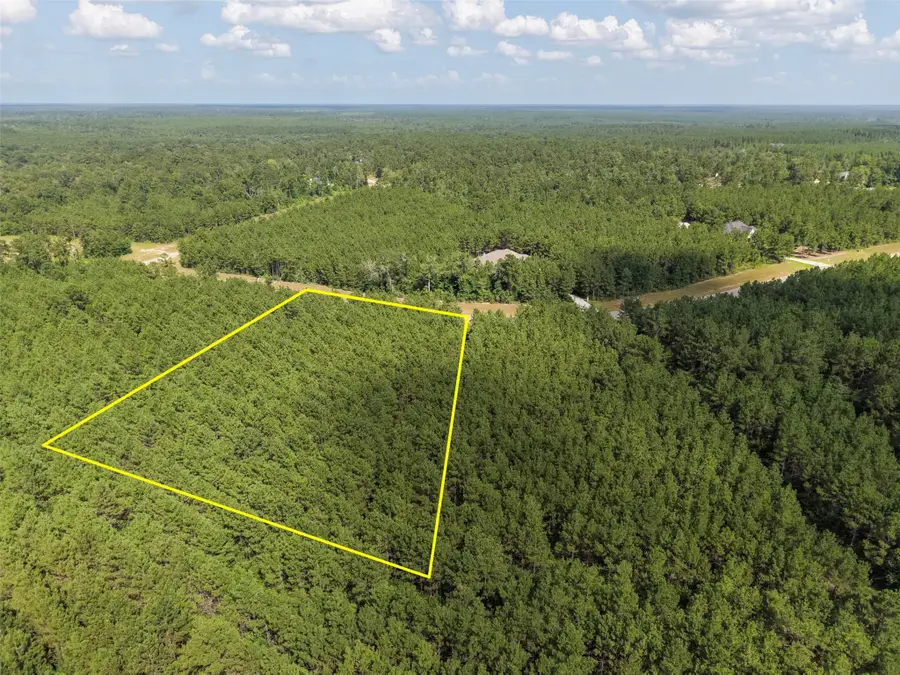 15785 Woodlife Road, Willis, TX 77378 - #3