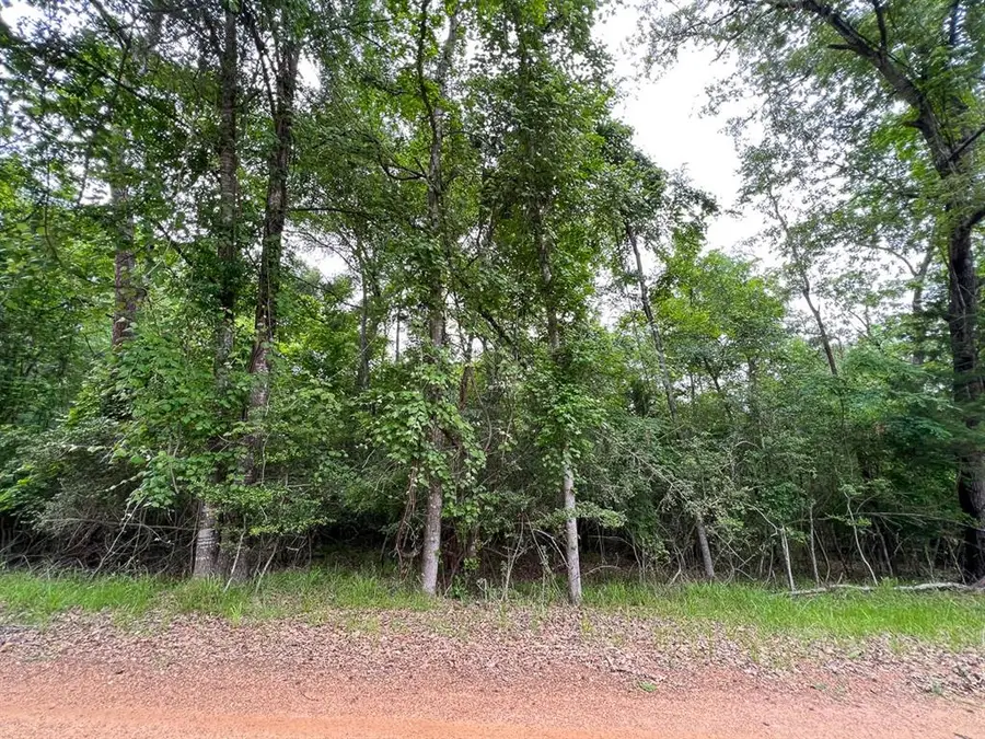 0 Forest Road, Crockett, TX 75835 - Image #3