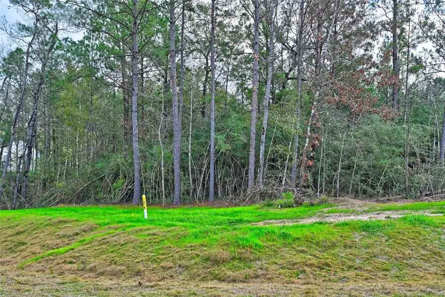 4521 Marfa Court, Montgomery, TX 77316 - Image #3