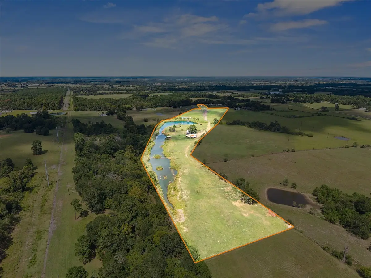 10802 County Road 203, Plantersville, TX 77363 - Image #1