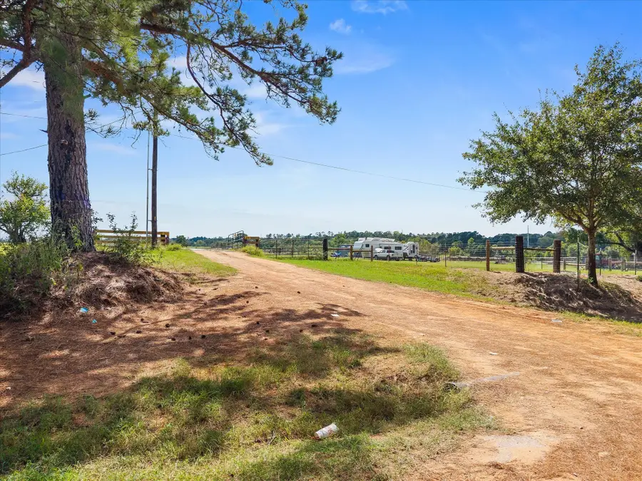 10802 County Road 203, Plantersville, TX 77363 - Image #3