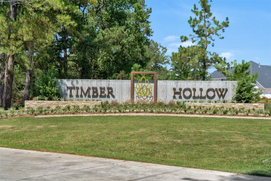 714 Satterwhite Farms Lane, Magnolia, TX 77354 - #2