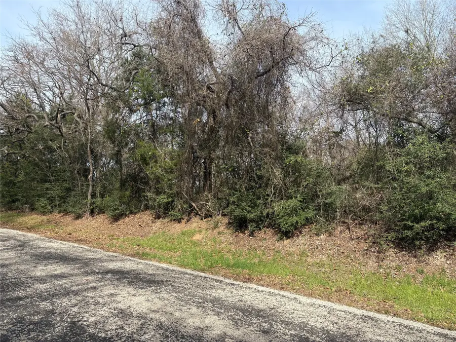 TBD Pleasant Hill Road, Bryan, TX 77807 - #2