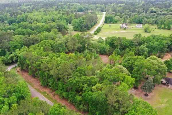 0 Daniel Street, Magnolia, TX 77354