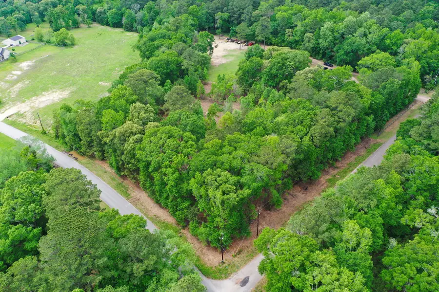 0 Daniel Street, Magnolia, TX 77354 - #3