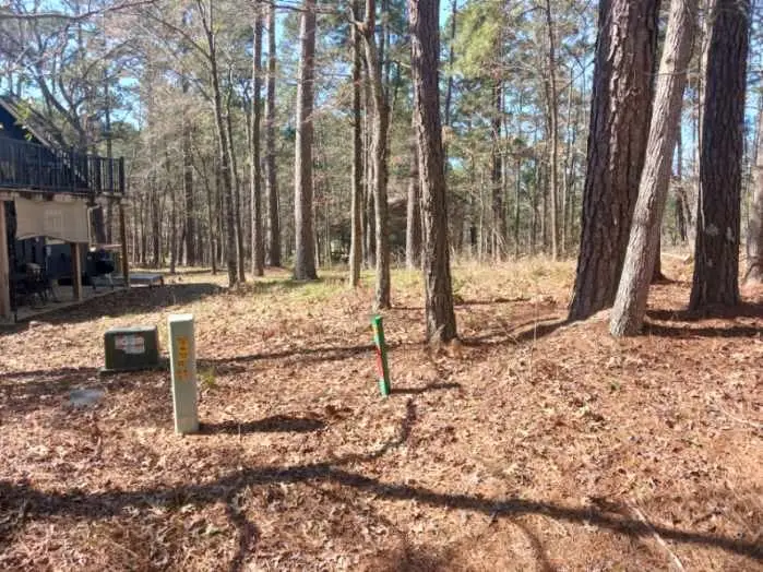 75 S Fairway Loop, Coldspring, TX 77331 - Image #2