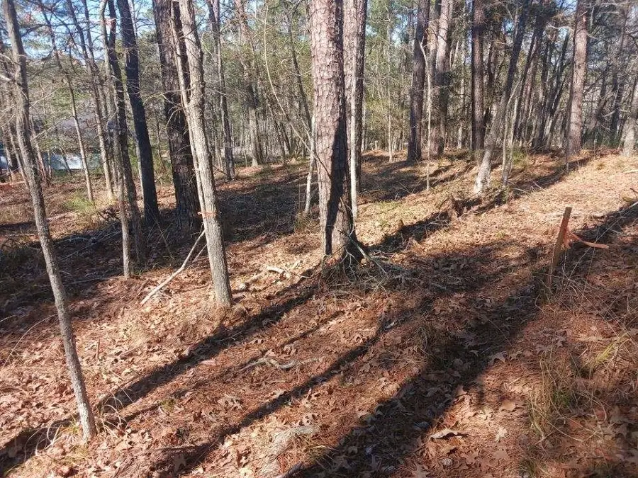 75 S Fairway Loop, Coldspring, TX 77331 - Image #3