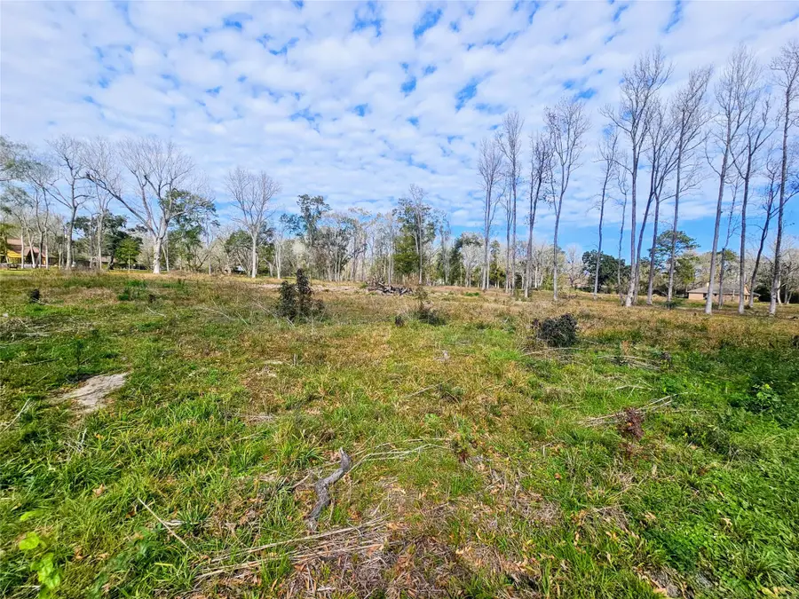 157 Daisy Lane, Monterey Belvieu, TX 77523 - Image #2