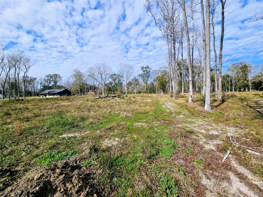 157 Daisy Lane, Monterey Belvieu, TX 77523 - Image #3