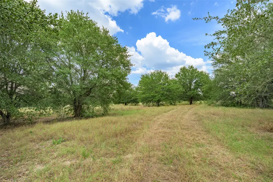 10842 Rauch Road, Ledbetter, TX 78946 - Image #3