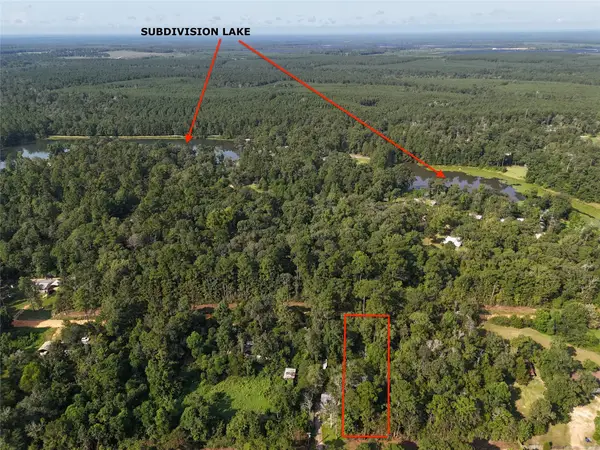 TBD Ole Long Pull Road, Livingston, TX 77351