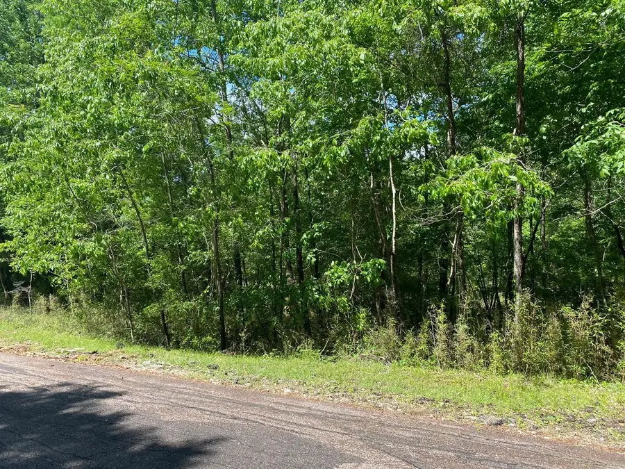 24 S Pine Harbour Drive, Coldspring, TX 77331 - Image #2