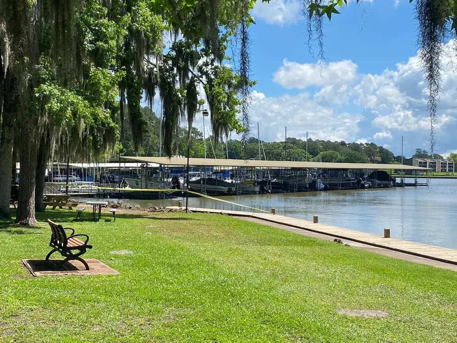 24 S Pine Harbour Drive, Coldspring, TX 77331 - Image #3