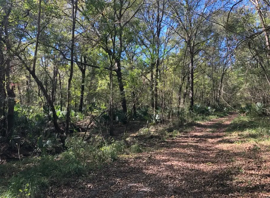 0 115300, Magnolia, TX 77354 - #3
