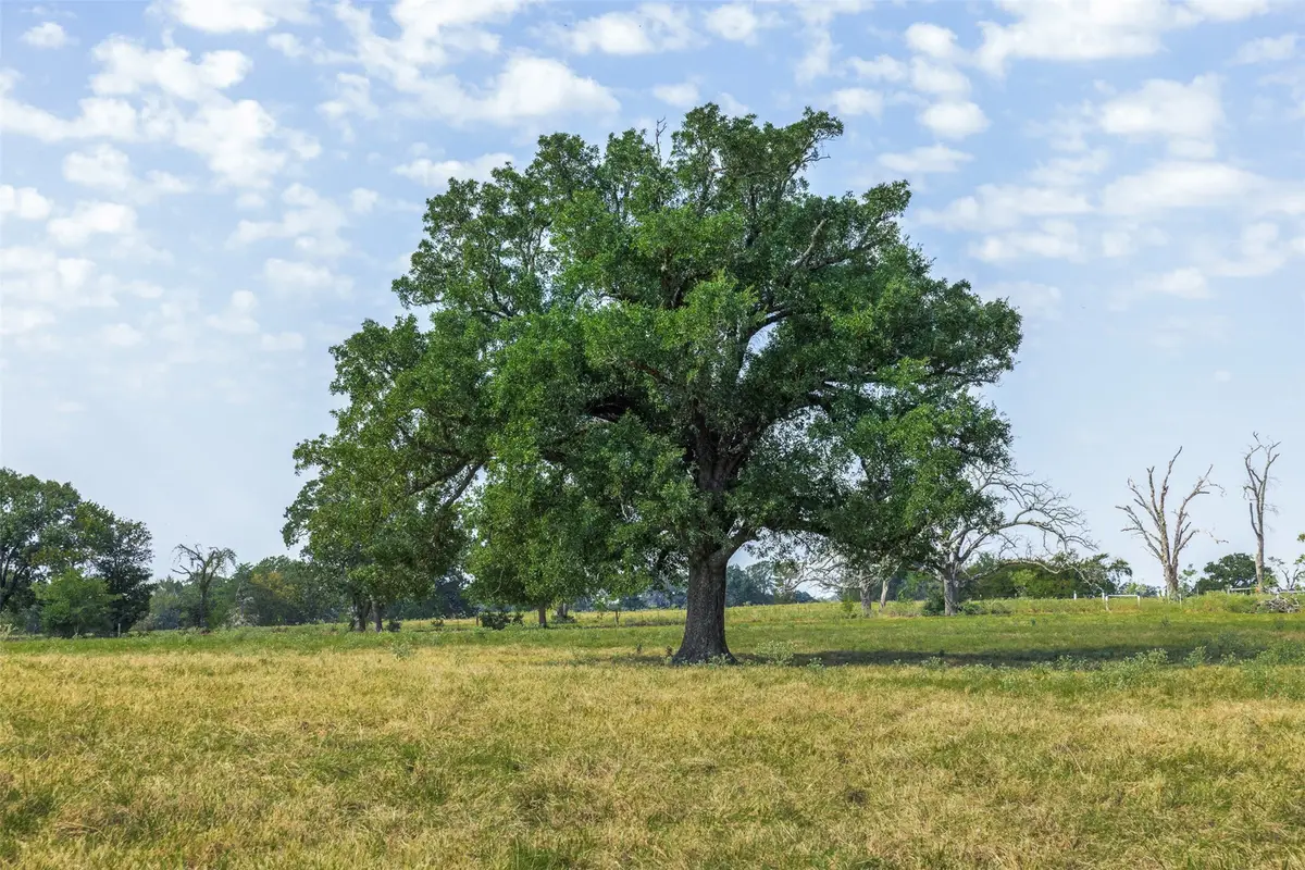 Tract 5 Rolke Ranch Road, Franklin, TX 77856 - Image #1
