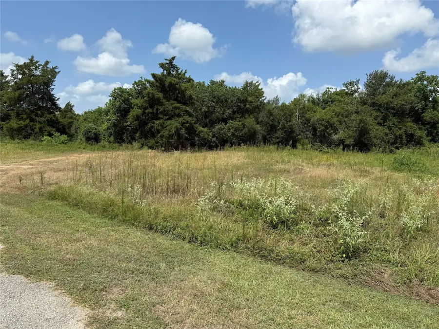 000 Ironwood Drive, Waller, TX 77484 - Image #3