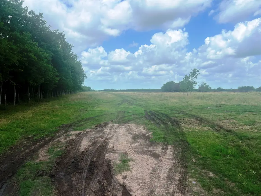 8925 Kerr Rd, Pattison, TX 77423 - #3