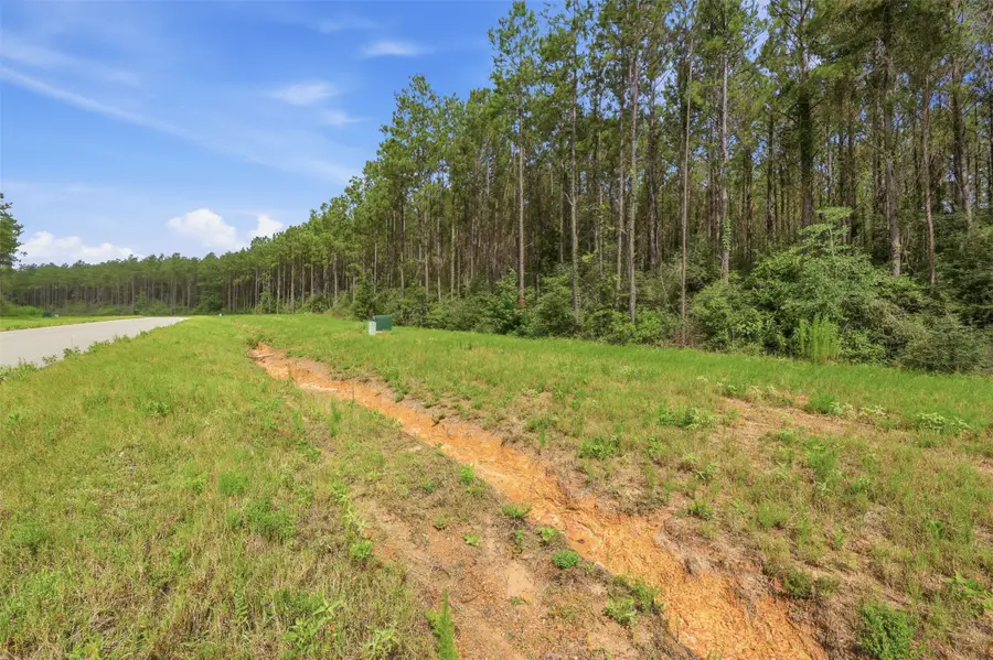 16030 Forest Mill Road, Willis, TX 77378 - #3
