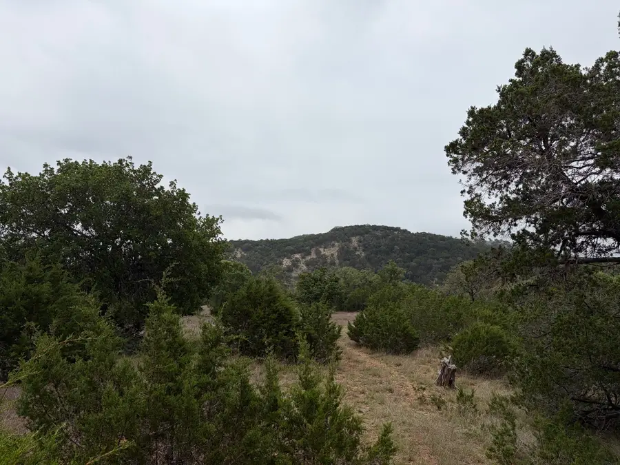 0000 Fm 289, Comfort, TX 78006 - #3