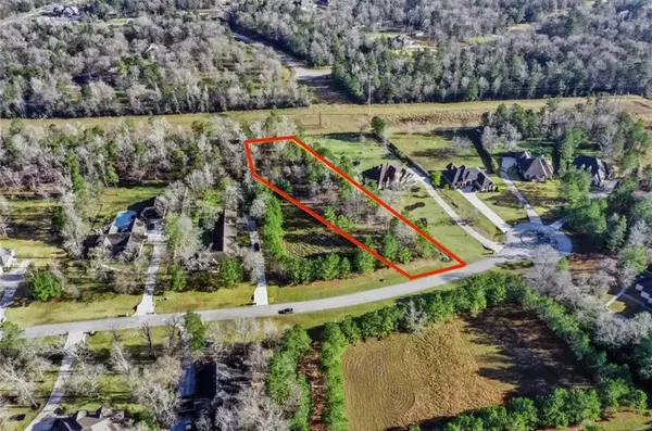 393 Ridge Lake Scenic Drive, Montgomery, TX 77316