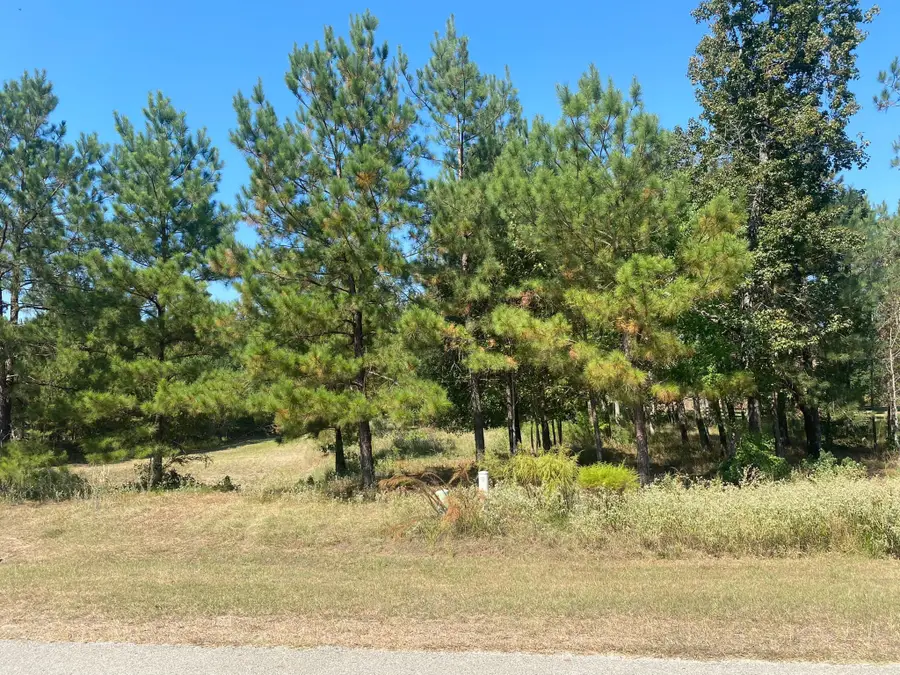 393 Ridge Lake Scenic Drive, Montgomery, TX 77316 - Image #2