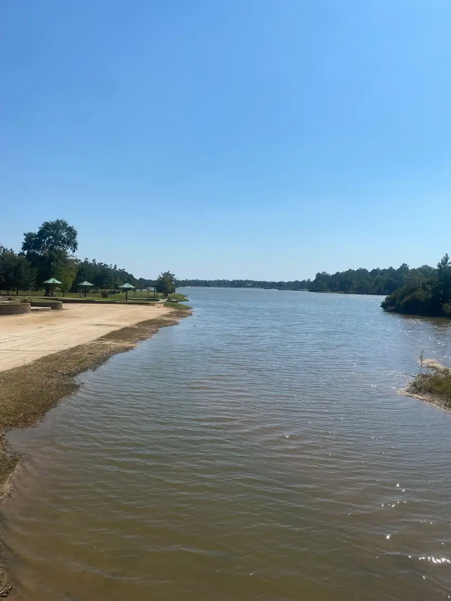 393 Ridge Lake Scenic Drive, Montgomery, TX 77316 - Image #3