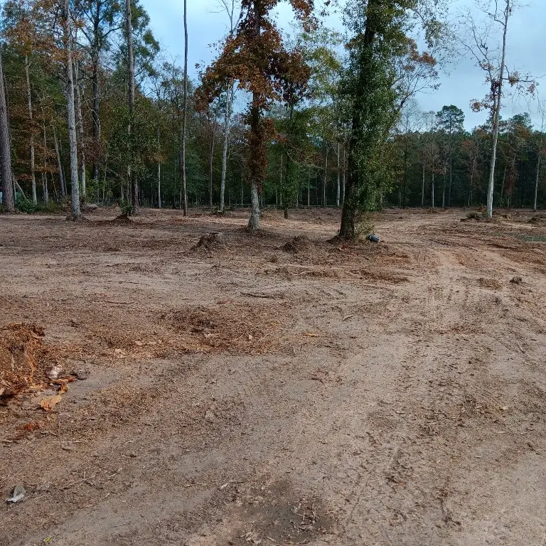 Lot 22 Plum Pudding Road, Livingston, TX 77351 - #2