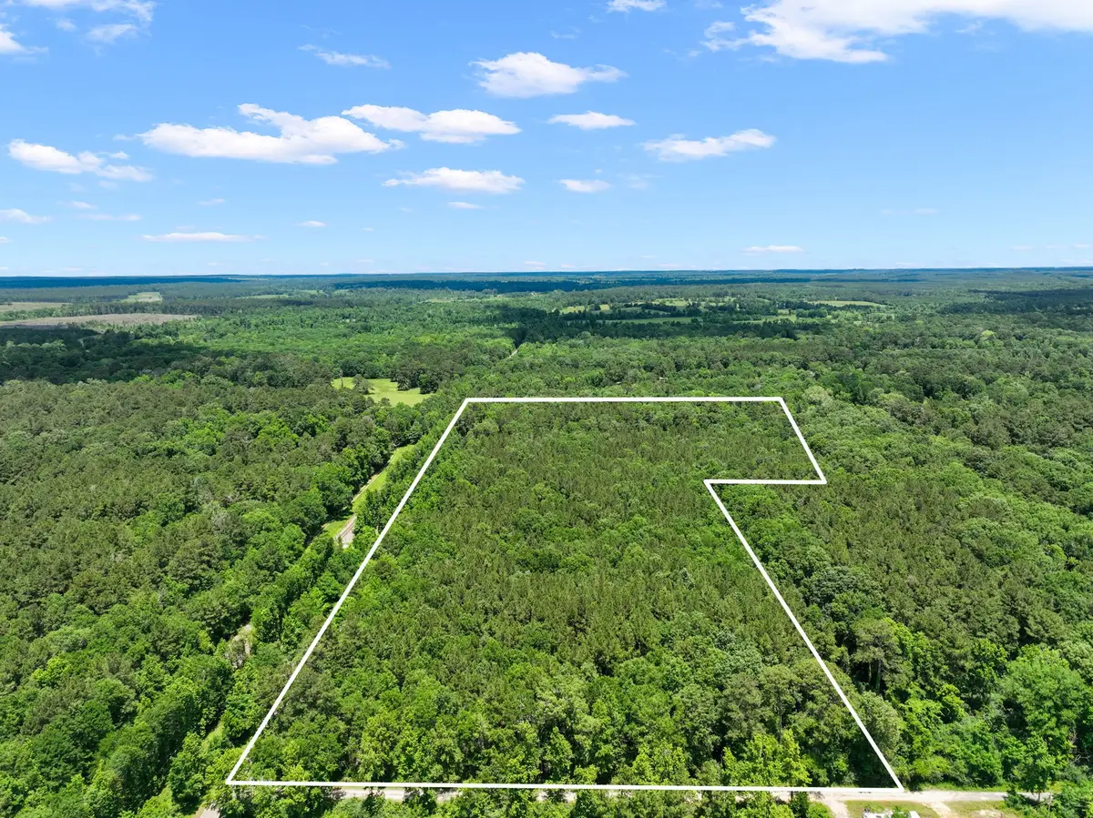 8589 Us Highway 59 N, Livingston, TX 77351 - #1