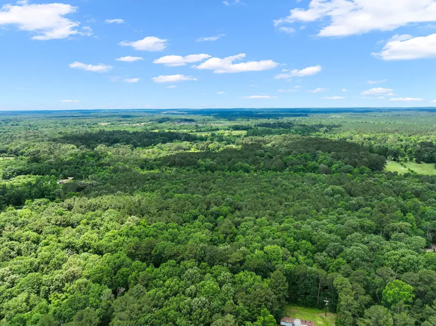 8589 Us Highway 59 N, Livingston, TX 77351 - #3