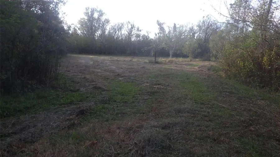 Fm Cr 319 County Road 319, Brazoria, TX 77422 - Image #2