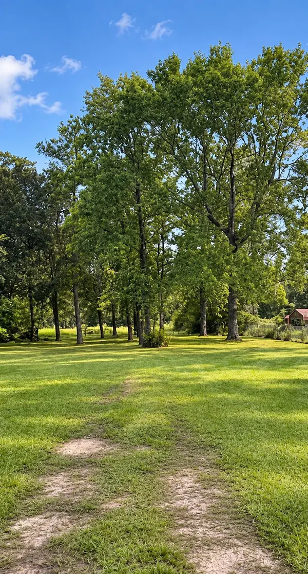 25710 Wildflower Drive, Magnolia, TX 77354