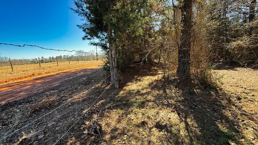 TBD County Road 473, Henderson, TX 75654 - #2