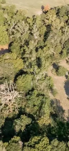 3661 State Highway 19, Riverside, TX 77367 - Image #3