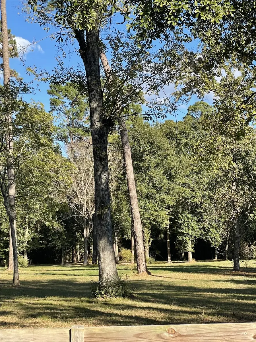 27110 Cherokee Lane, Magnolia, TX 77354 - #2