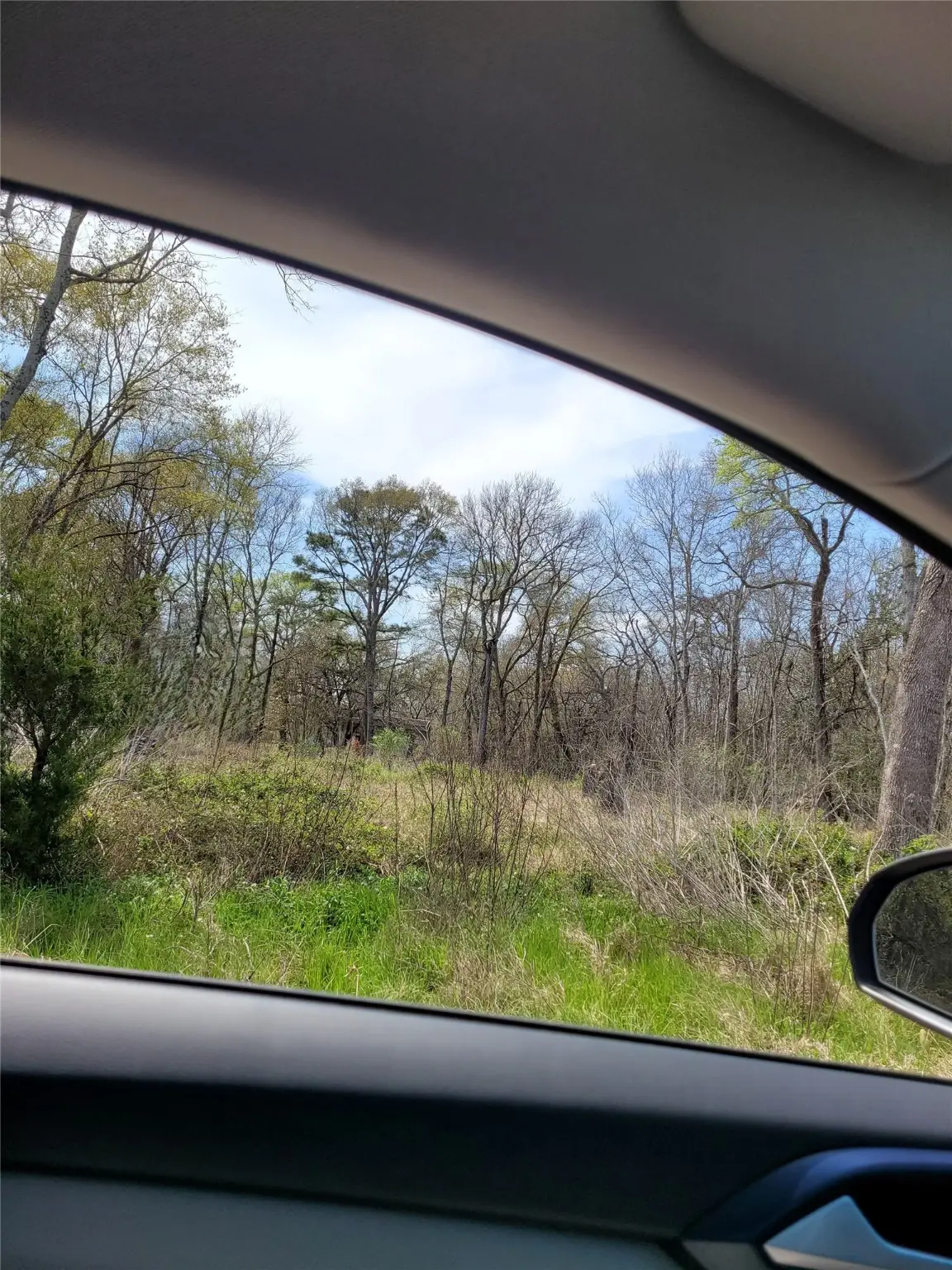 20310 Spruce Forest Drive, Guy, TX 77444 - Image #1