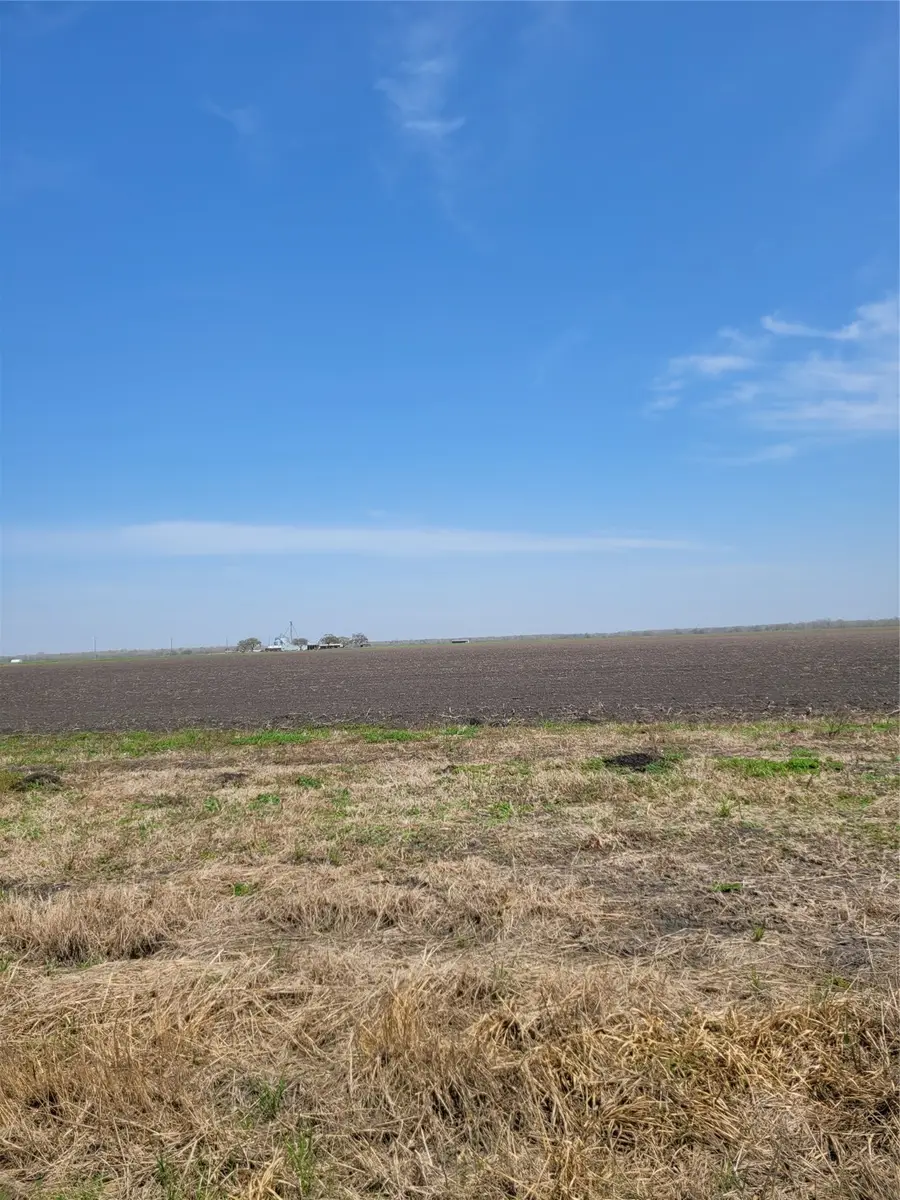 20310 Spruce Forest Drive, Guy, TX 77444 - Image #3