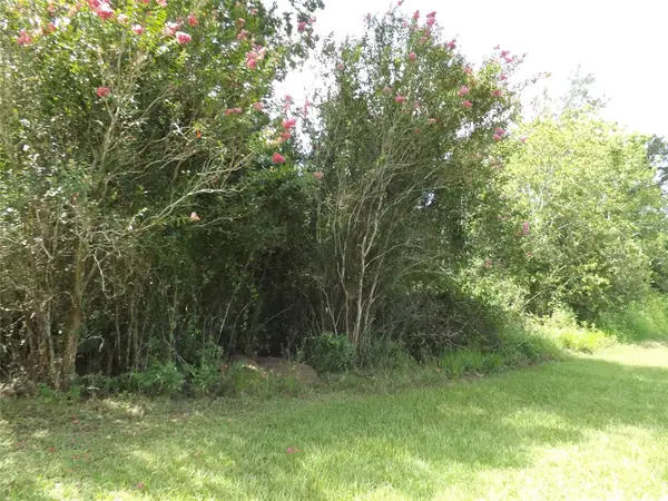 TBD Willow Rd, Wallis, TX 77485