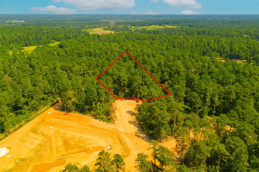 3903 Augusta Drive, Montgomery, TX 77316 - #2