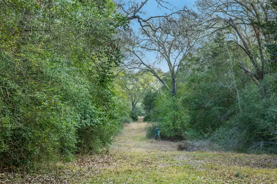 1200 West State Highway 71 Bypass, La Grange, TX 78945 - #3