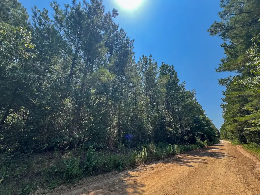 1 Fm 256, Colmesneil, TX 75938 - #3